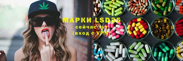 винт Алзамай