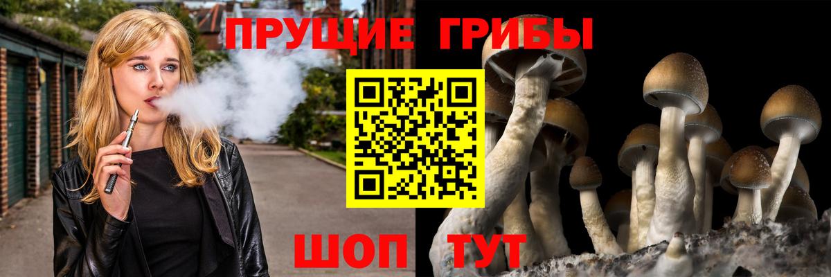 Новозыбков  Галлюциногенные грибы мицелий  Вход с VPN  Псилоцибиновые грибы Psilocybine cubensis 