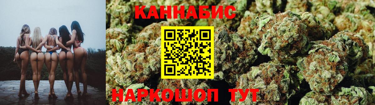 Бошки марихуана семена  Вход с VPN  Конопля сатива  Новозыбков  МАРИХУАНА сатива 